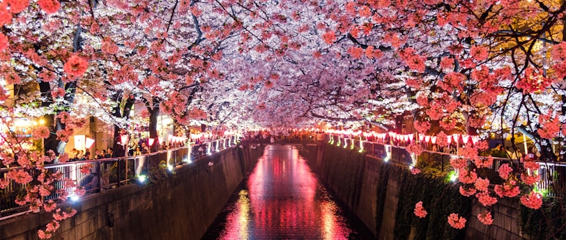 Mastering Japan's Local Payment Methods: A Traveler's Handbook