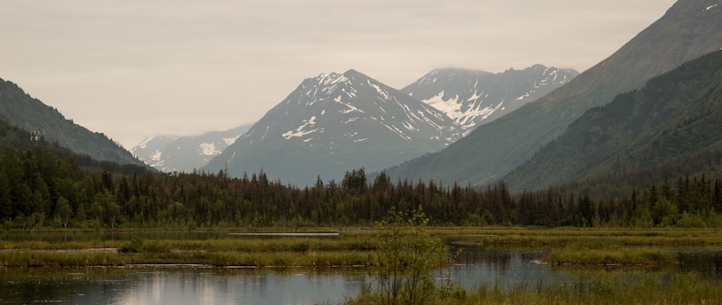 The Alpha's Heart: A Tale of Love and Legacy in Alaska